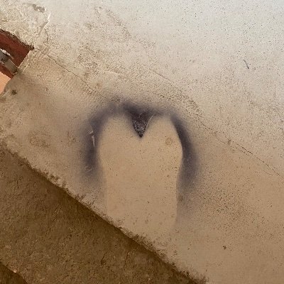 Pandasmile312's profile picture. 