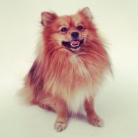 erik braund (@erikbraund) 's Twitter Profile
