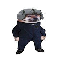 Koala Driver Fella 🇺🇸🚁🇺🇦 (@atacms4ukr) 's Twitter Profile Photo