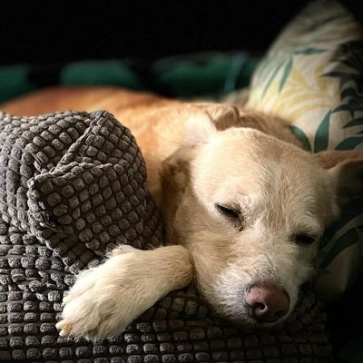 emma_167_'s profile picture. 