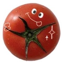 tomato.(@t0ma3to) 's Twitter Profile Photo