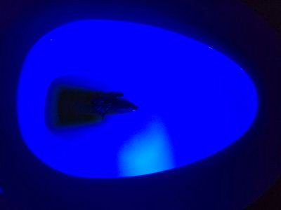 cuck_male's profile picture. A black male cuck semi well endowed but love everything about the mental aspect of the cuckolding arena.