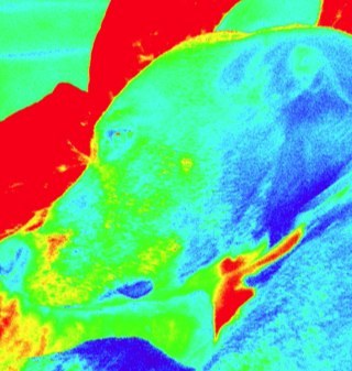 prev5's profile picture. Turn off your mind, relax, and float downstream....