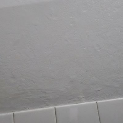 monkey63744's profile picture. 21