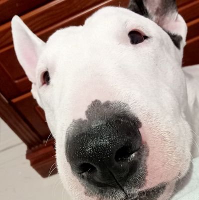 marさんのプロフィール画像