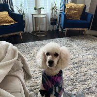 Tamron Brown (@brown_tamron) 's Twitter Profile Photo