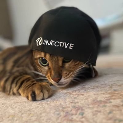 It's Kira, but Wif A Hat 🧢 @Injective favorite Cat 🐈 with aesthetics https://t.co/buRePTlZ9D