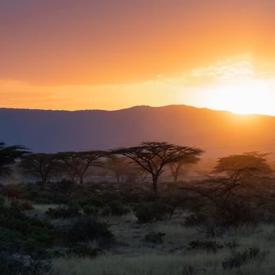 MaliasArtson's profile picture. 