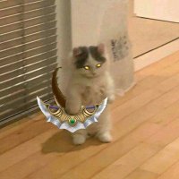 Seryy (@coachseryy) 's Twitter Profile Photo Seryy (@coachseryy) 's Twitter Profile Photo