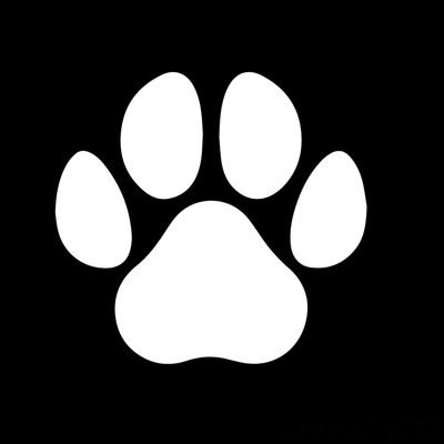 HinataHyuga_NFT's profile picture. $DFAT holder 🙌💎