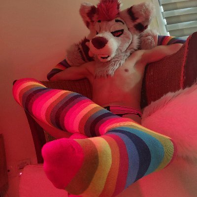 🔞Spicy NSFW Area of Peppermint🔞

🏳️‍🌈 Bi | He/Him | 28 🇨🇵 | Femboy Furry |
Switch with a Sub side 👉👈 | Soft post & NSFW ❗|

Collab ask 📷 || Minors DNI