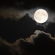 YHYBLACKAHI's profile picture. Believer