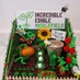 Incredible Edible Micklefield (@IEMicklefield) Twitter profile photo