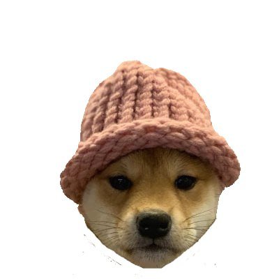 just a dog wif hat

$WIFHAT