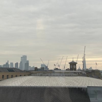 angelijck's profile picture. STOP the crossings of vermin leeching off the UK, who HATE our Christian nation❌⛔️PROTECT the green belt🌳no more housing for gimmigrants⛔️