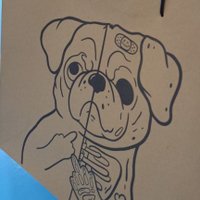 n. (@lossealo) 's Twitter Profile Photo