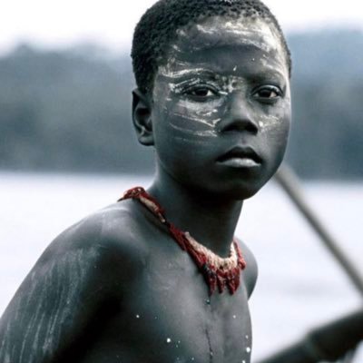 chi5_solo's profile picture. 