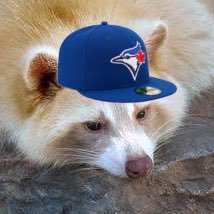 BasedRaccoon Profile Picture