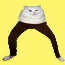 Cat Wif Pants, Not Cat wifout Pants $CatPants

https://t.co/nsqjU6NgnD