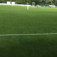 news of the twos (@newsofthetwos) 's Twitter Profile