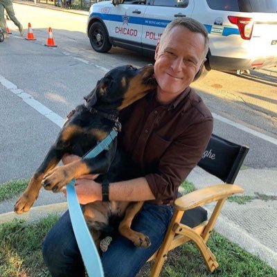 Formerly Verified, Seargent Hank Voight in Chicago Pd. Follow my private page if you’re a true fan of One Chicago 🇺🇸