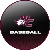 Westosha Central Baseball(@WC_FalconsBB) 's Twitter Profile Photo