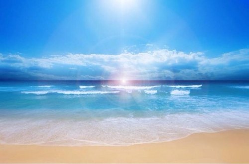 rebeccaviva's profile picture. 