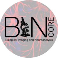 CSU BIN Core (@csu_bin) 's Twitter Profile