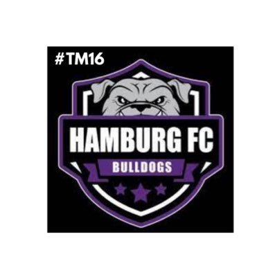 Hamburg_Soccer Profile Picture