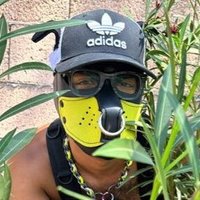 Terror🍼🔞 (@terrorpup4) 's Twitter Profile