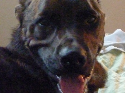 allimoeriley's profile picture. 