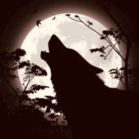 Joe Black Wolf(@joeblackwolf17) 's Twitter Profile Photo