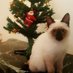 🦋TOOO_TtY🦋🕊️🍒🏡 (@ragiaa_hafez) Twitter profile photo 🦋TOOO_TtY🦋🕊️🍒🏡 (@ragiaa_hafez) Twitter profile photo