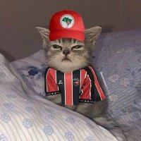 Dr. shawty🌹 (@monteirocaucaia) 's Twitter Profile Photo Dr. shawty🌹 (@monteirocaucaia) 's Twitter Profile Photo