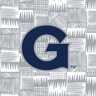 HoyaSoftball Profile Picture