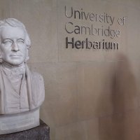 Curatrix, Cambridge University Herbarium (CGE)(@CUHerb) 's Twitter Profile Photo