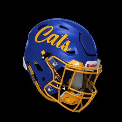 WildcatFootbal7 Profile Picture