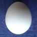 Daniel S Vacanti (@danvacanti) Twitter profile photo