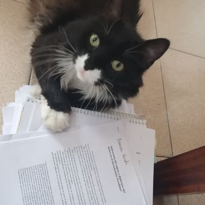 Mr_Fouss's profile picture. Solo volví por la rosca                                                                casi psicóloga ✌🏼🌈