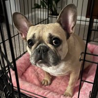 Michelle (@michelledivv) 's Twitter Profile