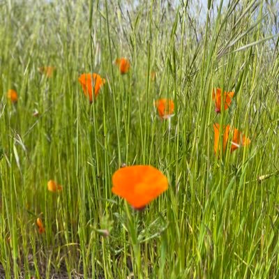 Marmee60's profile picture. 