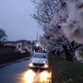 mabo_0113's profile picture. AZ-1に憧れるDK(男子高校生)