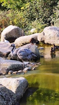 inconnue6900's profile picture. 