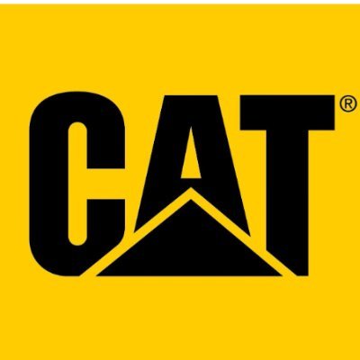 Realtor. Caterpillar Parts plug. Elect Elect Engr. Project Manager. Financial Analyst. Freelance writer.
