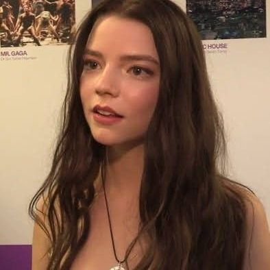 reneestudying's profile picture. #studytwt & #studytwtbr !