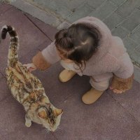Rahma (@rahmaahelal) 's Twitter Profile