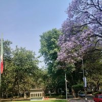Oaxaqueño del color de la Tierra!!! (@hdezedilberto) 's Twitter Profile