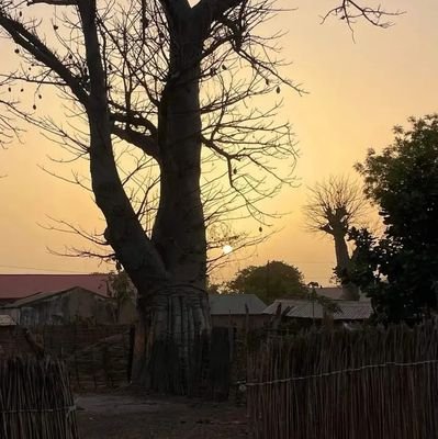 balamin225947's profile picture. am from the gambia 🇬🇲 smile Coast of West Africa