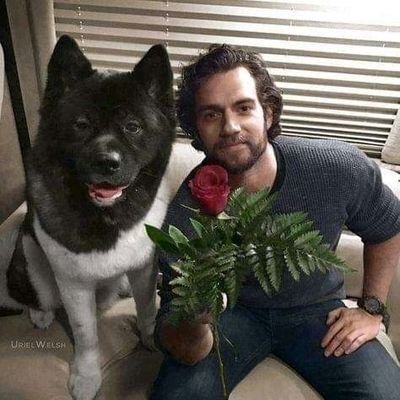 dmscapsleri's profile picture. 