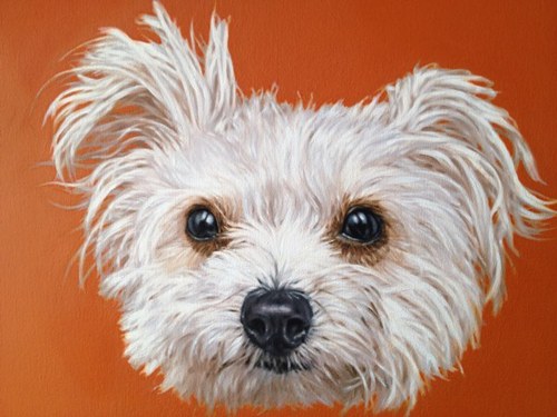 mspennypuppy's profile picture. A new dawn. A new day.